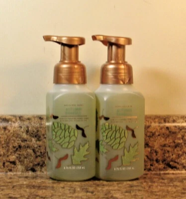 Bath & Body Works Autumn Rainfall Foaming Hand Soap LOT OF 2 - Image 1 of 2