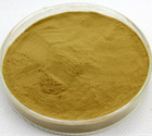 Nettle Root Extract Powder 12:1 Chinese Herbs 100g