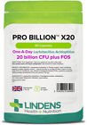 Lindens Probiotico Ultra 3-PACCO 180 Capsule Acidophilus Batteri da 20 miliardi