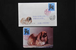 T70 Yr of Dog 8f on photo/pte FDC - Guangzhou 1982.1.5 cancel (b84e) - Picture 1 of 12
