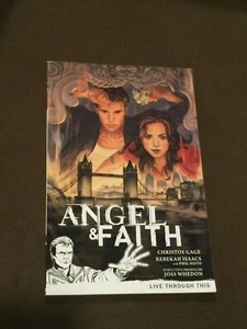 BTVS Angel & Faith Vol 1 Graphic Novel Dark Horse Comics Book Live Through This - Picture 1 of 3
