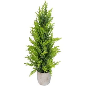 Northlight 17in Upswept Frosted Cedar Artificial Christmas Tree unlit - Picture 1 of 4