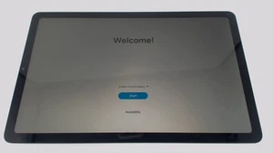 Samsung Galaxy Tab S6 Lite SM-P613 10.4" Tablet (Gray 64GB) Wifi BROWN LCD - Afbeelding 1 van 2