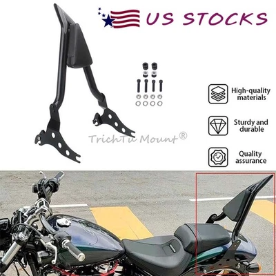 Respaldo de pasajero Sissy Bar desmontable con almohadilla apta para Harley Fat Boy Breakout Foto 1 de 4