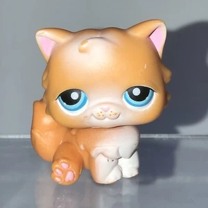 Littlest Pet Shop Authentic # 153 orange weiß sitzende Perserkatze blaue Augen - Bild 1 von 7