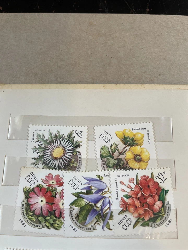 Russia USSR Stamps 1981 Flowers 4943-47  - Image 1 of 1