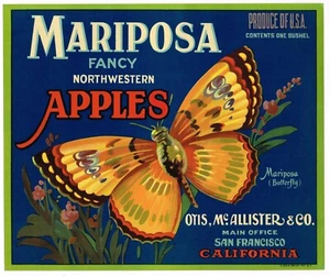 ETIQUETA DE CAJA ORIGINAL DE LOS AÑOS 30 DE COLECCIÓN MANZANA SAN FRANCISCO MARIPOSA ELEGANTE - Imagen 1 de 1