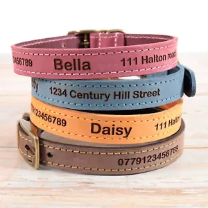 Personalised Custom Leather Dog Puppy Collar + Lead option | Laser engraved ID - Picture 1 of 27