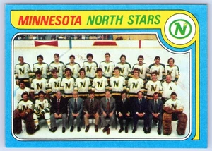 LISTA DE VERIFICACIÓN DEL EQUIPO MINNESOTA NORTH STARS 1979-80 TOPPS 79-80 #251 COMO NUEVO+ 98092 - Imagen 1 de 2
