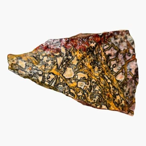 Leopard Skin Rhyolite Lapidary Cutting Rough Chunk - Picture 1 of 8