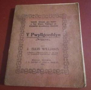 Y Pwyllgorddyn by J Ellis Williams 1931 Vintage Welsh Language Comic Play Drama - Picture 1 of 1