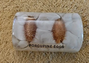 "Stachelschwein Eier" Neuheit Briefbeschwerer Acryl Vintage MCM 3" - Bild 1 von 6