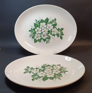 WS George Cavitt Shaw GEO120 Oval 11" Platters White Flowers SET OF TWO (2) - Picture 1 of 12