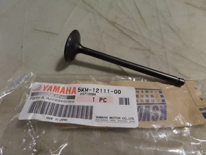 Válvula de admisión Yamaha 2002-2005 YFM660 5 KM-12111-00 NUEVO DE STOCK - Imagen 1 de 6