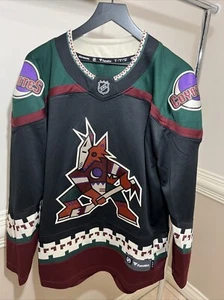 Arizona Coyotes Kachina Logo Fanatics Breakaway Black NHL Hockey Jersey M Womens - Picture 1 of 3