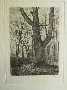 A. PROTCHE GRAVURE ORIGINALE XIX FORET SOUS BOIS BARBIZON PARIS à l'EAU FORTE b - Imagen 1 de 4