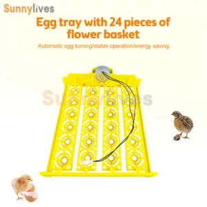 24 Huevos Tipo Cesta Incubadora Bandeja Huevos Pequeña Incubadora Accesorios 110V/220V - Imagen 1 de 18
