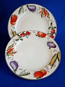 TWO FURIO Garden Delight 10 3/4" Dinner Plates - EUC - Picture 1 of 3