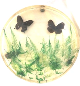 Lg. Mid Century Modern Lucite Acryl Farn und Schmetterlinge Vintage Serviertablett - Bild 1 von 3