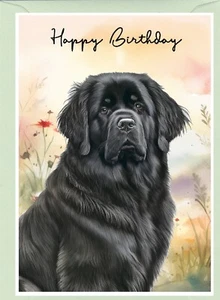 Newfoundland Dog (4"x 6") Birthday Card - blank inside - by Starprint - Picture 1 of 1