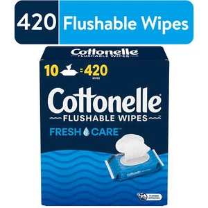 Toallitas lavables Fresh Care 10 paquetes abatibles - Imagen 1 de 10