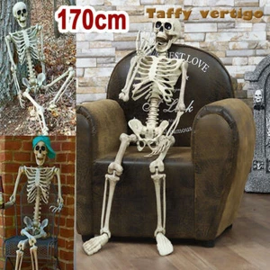 170CM Skeleton Full Size Poseable Human Halloween Party Prop Haunted House Decor - Picture 1 of 10
