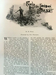 Chicken Poultry Fowl Smithfield Market Rare Old Antique Article 1901 Heathfield - Picture 1 of 5
