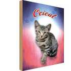 Holzschild 18x12 cm Katze Ocicat Tiere & Haustiere