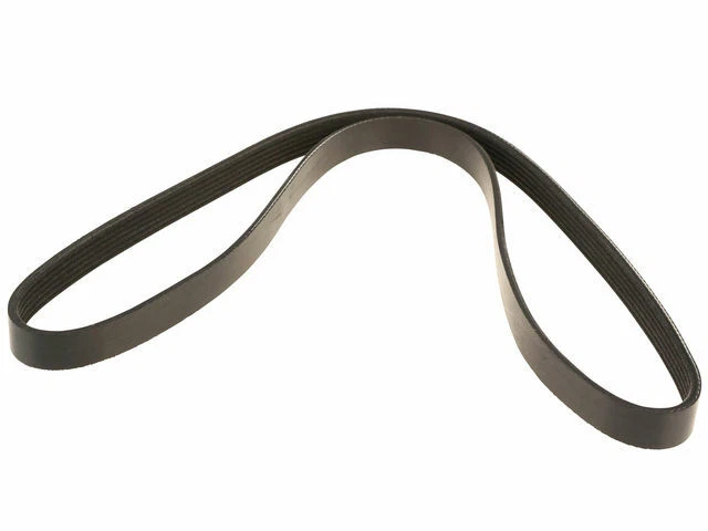 Cinturón multi costilla para Toyota Venza 2009-2016 2,7 L 4 cilindros 2010 2011 2012 2013 C246YZ Foto 1 de 1