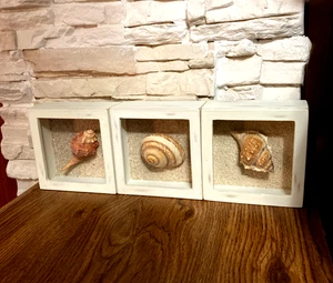 3 weiße 5x5 kleine Schattenkasten Bilderrahmen Vitrinen mit Muscheln. - Bild 1 von 4