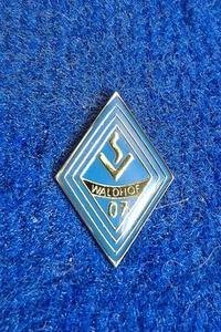 Pin SV Waldhof Mannheim 07 - Bild 1 von 1