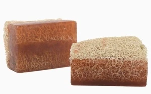 Kürbisfaser Seife Milchig Honig 100% Handgemacht Peeling Balli Lifli Sabun 120g - Bild 1 von 6