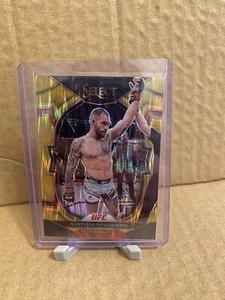 Santiago Ponzinibbio Gold Flash 23 Select