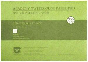 BAOHONG Academy Grade Watercolor Painting Paper, 100%Cotton Cold Press, 20 Sheet