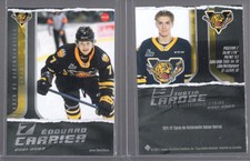 2021/22 Victoriaville Tigres [Lot of 14]
