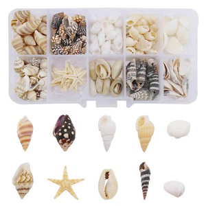170PC Mixed Sea Shell Starfish Conch Shell for Fish Tank Aquarium Decor Ornament - Picture 1 of 7