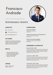 Curriculum Vitae Professionale Digitale - Pronto per la Stampa! - Afbeelding 1 van 11