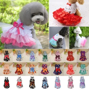 Small Dogs Floral Dress Sweety Tutu Princess Puppy Pet Chihuahua Ballet Skirt 🎀 - Picture 1 of 14