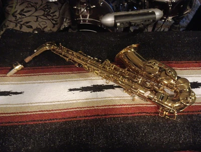 Alto Saxophone Student  - Image 1 of 4