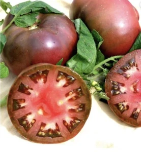 Tomato (Cherokee Purple) 390+ Seeds (Lycopersicon) Instructions Included x - Picture 1 of 8