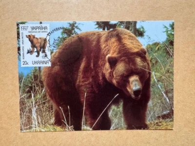 Ucrania FDC Postal 1997 Oso Pardo Foto 1 de 3