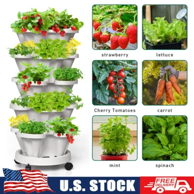 Jardinera vertical apilable de fresas, hierbas, flores y verduras de 5 niveles Foto 1 de 4