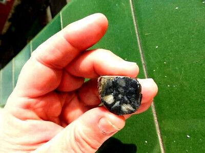 Minerales   Fabuloso Mineral Quiastolita (andalucita) De Boal Asturias - 2e18   • 2.05€