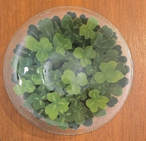 Vintage Peggy Karr Kleeblatt Kleeblatt verschmolzene Glasschale 8,5" hell & dunkelgrün Rarität - Bild 1 von 10