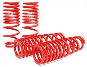 For 1996-2000 Honda Civic Skunk2 Lowering Coil Spring Set Free Shipping - Picture 1 of 1