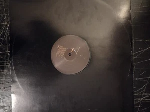 DJ Rels/Madlib – Diggin In Brownswood-12"-Excellent-STH2071-2003 - Picture 1 of 1