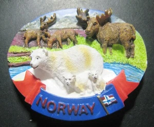 Imán de nevera 3D para oso polar y musgos de Noruega - Imagen 1 de 2