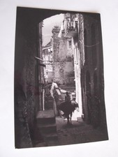 Imperia - Dolceacqua Via Castello + asino mulo - non spedita f. g.
