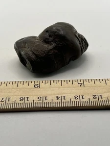 Koprolith echter versteinerter Kotkot Mist 2” x 1,5” 1” C41 - Bild 1 von 4