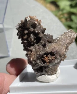 Dogtooth Calcite-Ojuela Mine, Mexico W/display Box 20g Old Stock - Picture 1 of 11